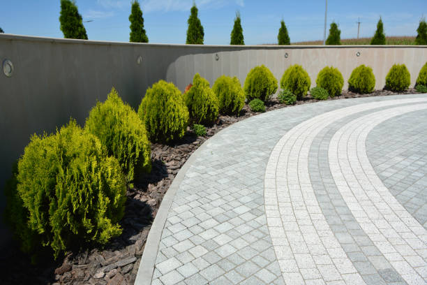 Reasons to Select Us for Your Driveway Paving Requirements in Franklin Grove, IL